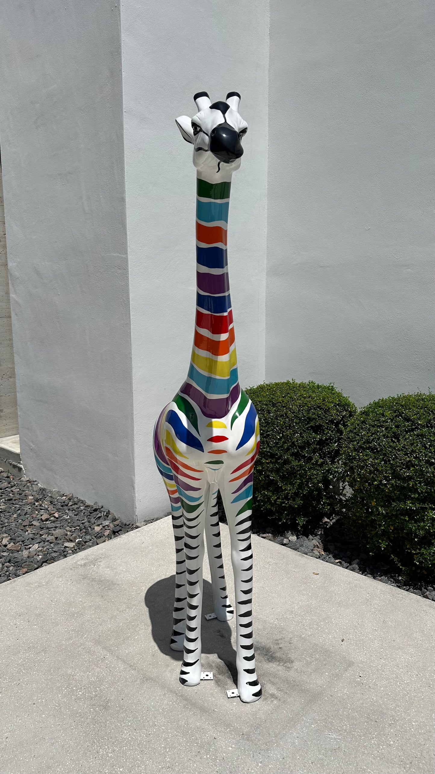 Zebra giraffe