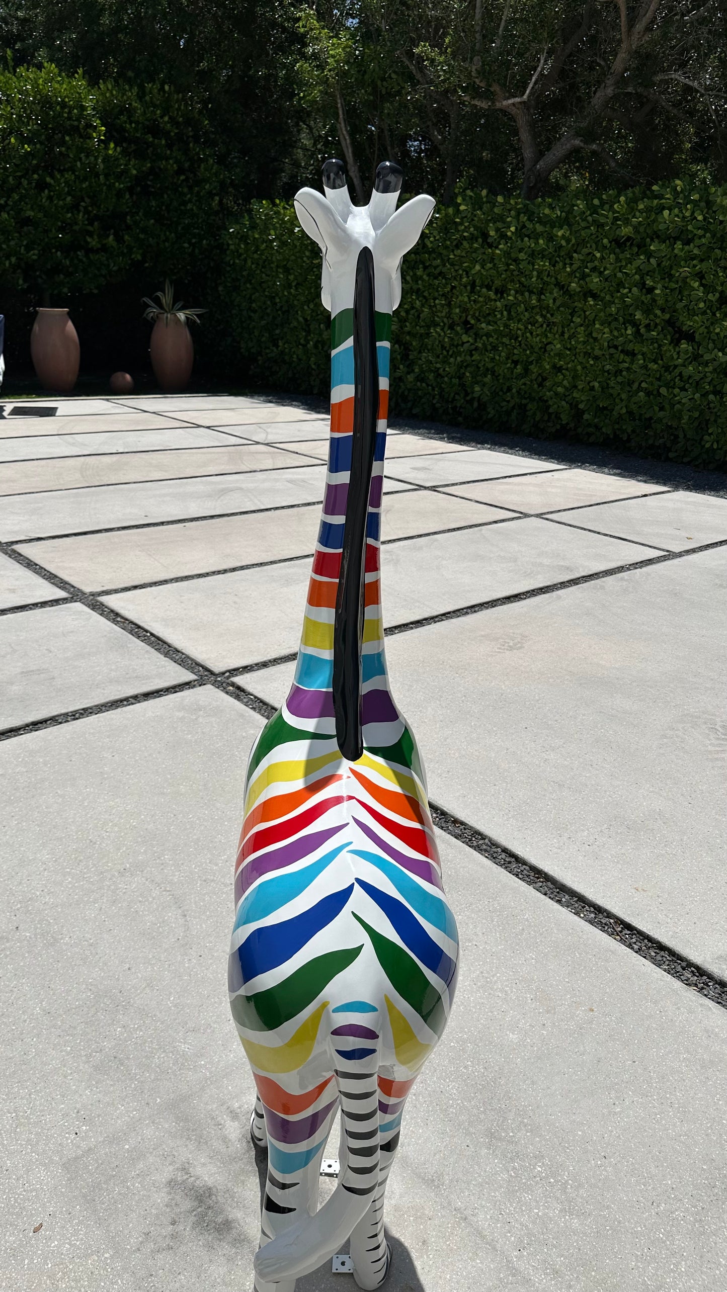 Zebra giraffe