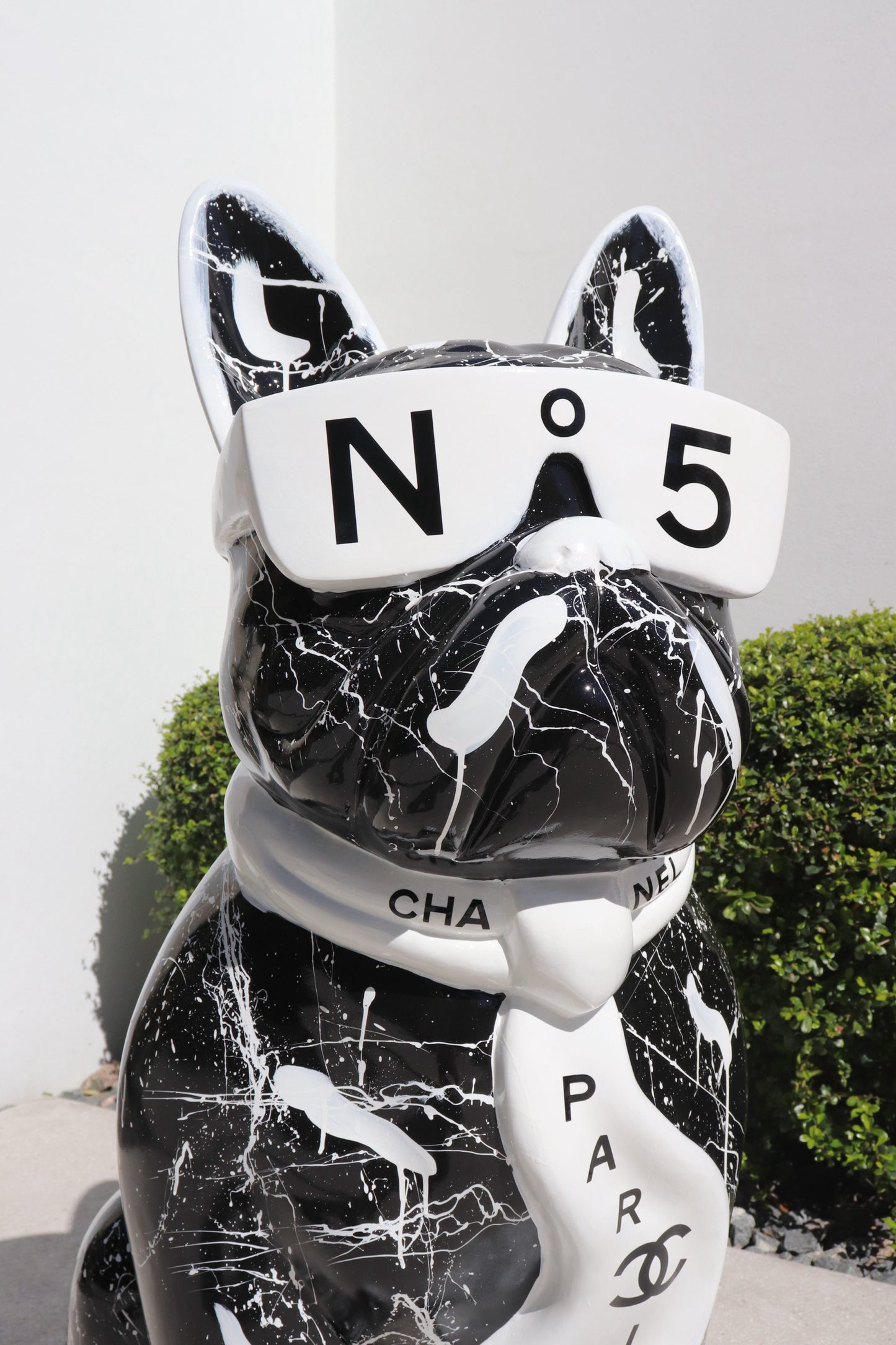 N5•Paris Frenchy