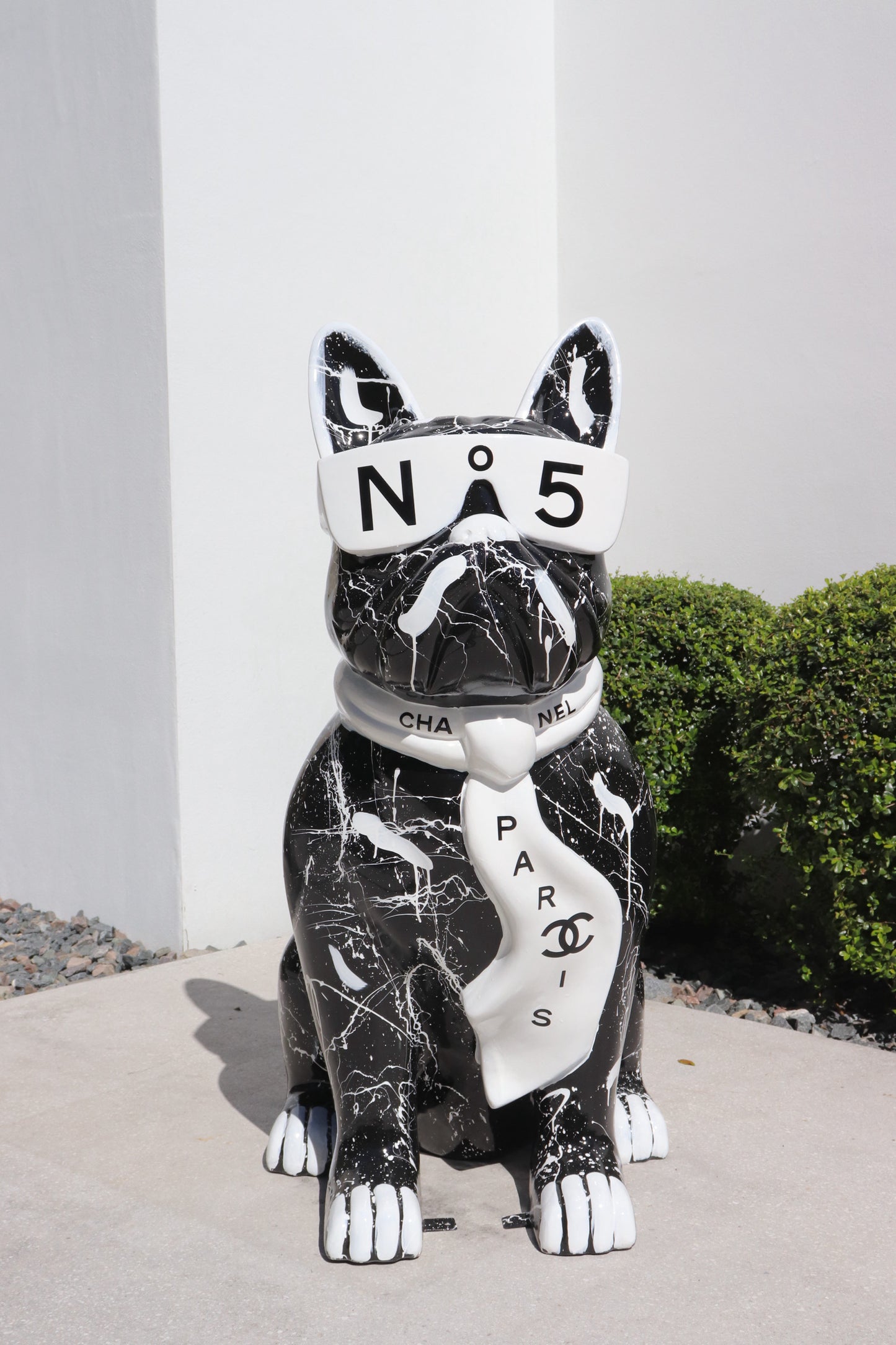 N5•Paris Frenchy