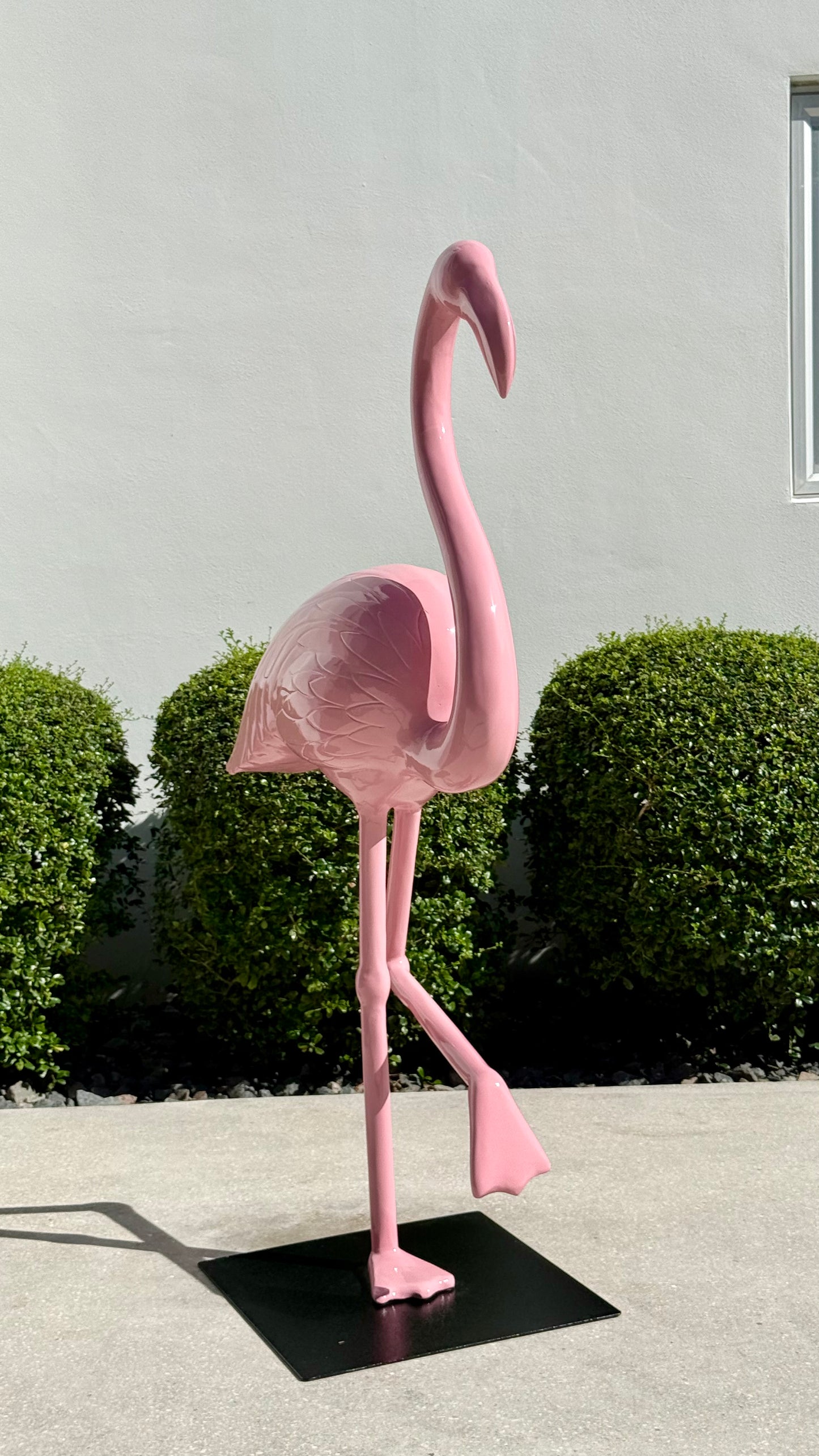 Miami Flamingo