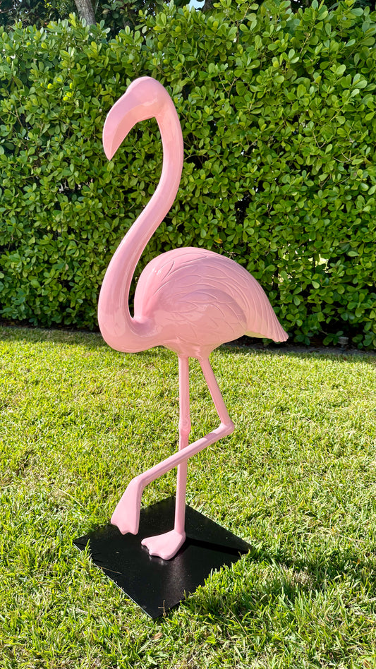 Miami Flamingo